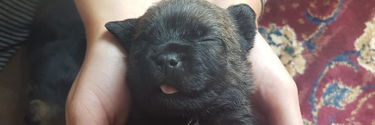 Deeva__89's profile banner image