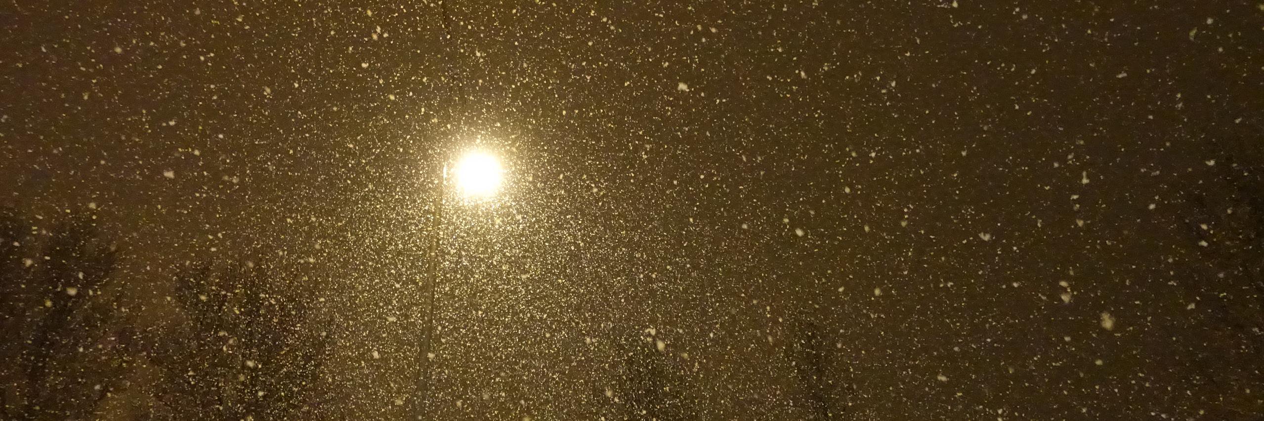 Stanislav (Stas) Katkov banner