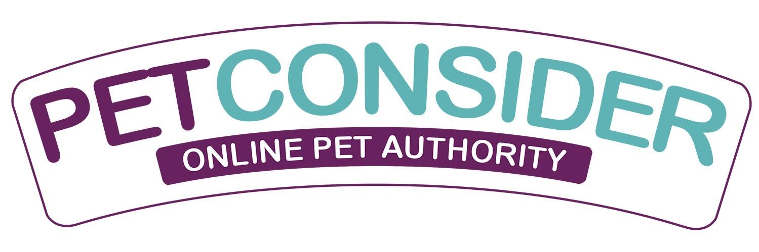 petconsider's profile banner image