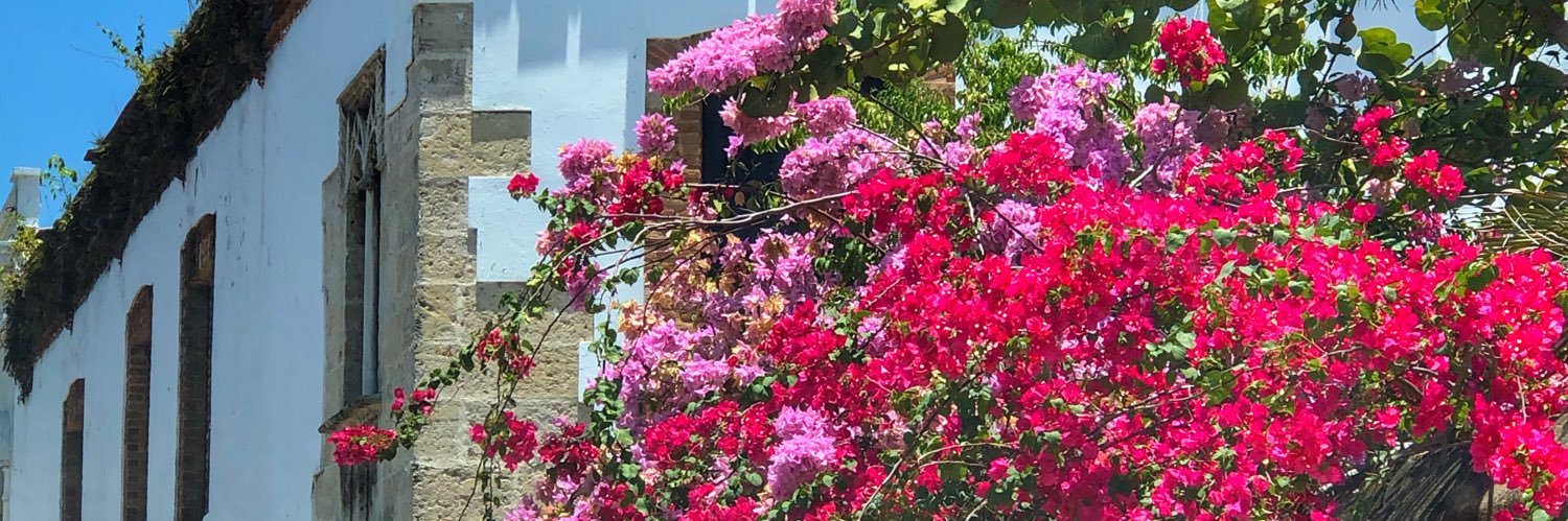 LauCruz9's profile banner image