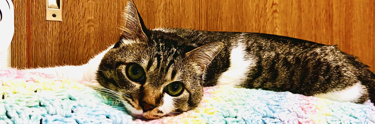 寂しい人妻feat.ななお♂ banner