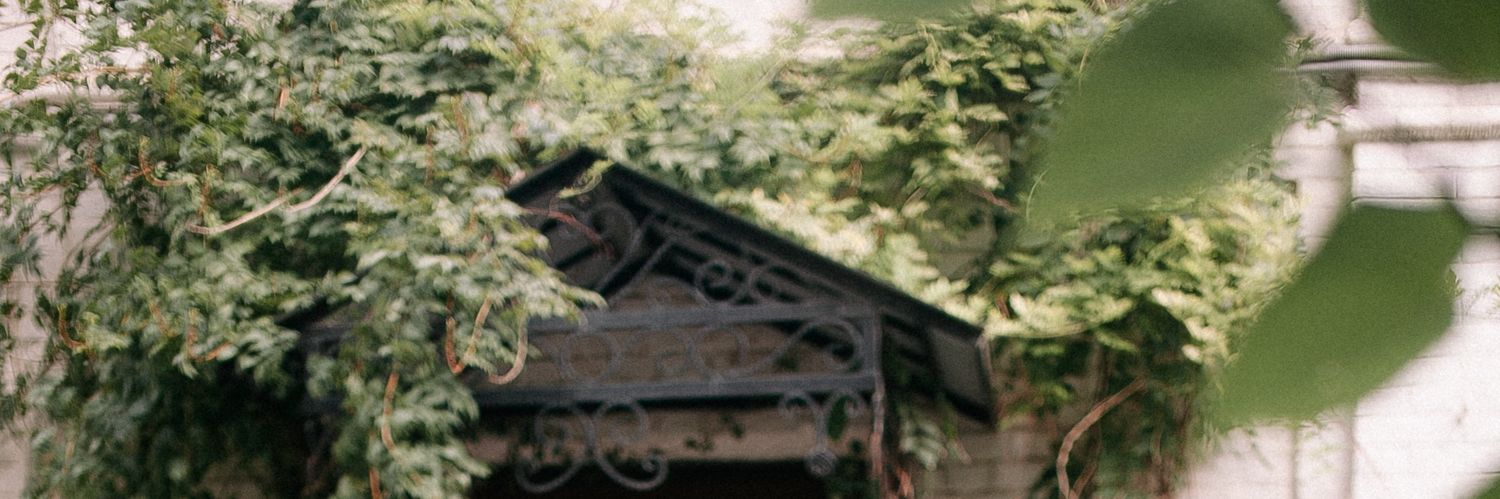 neshtarin's profile banner image
