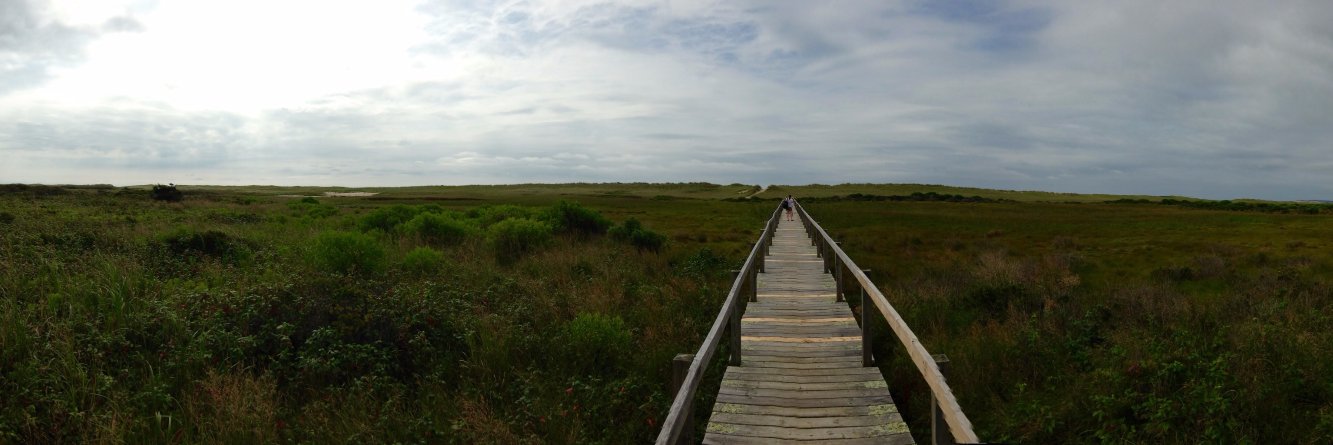 David Wertheimer banner