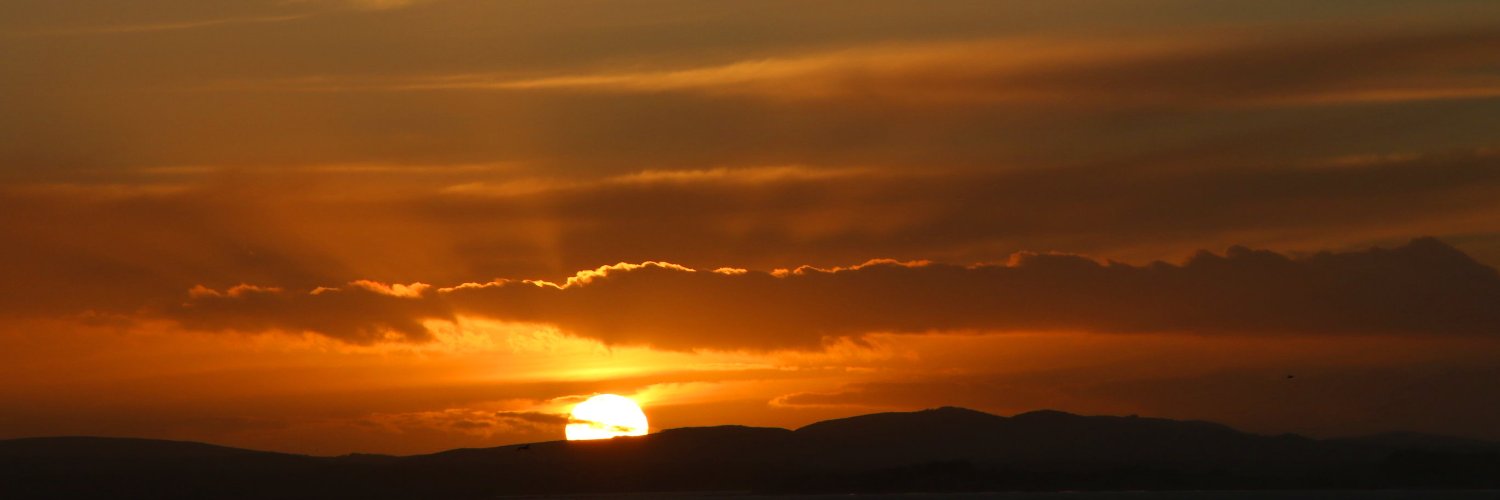 †Seán Manchester banner