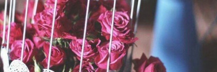 ooo_smar's profile banner image