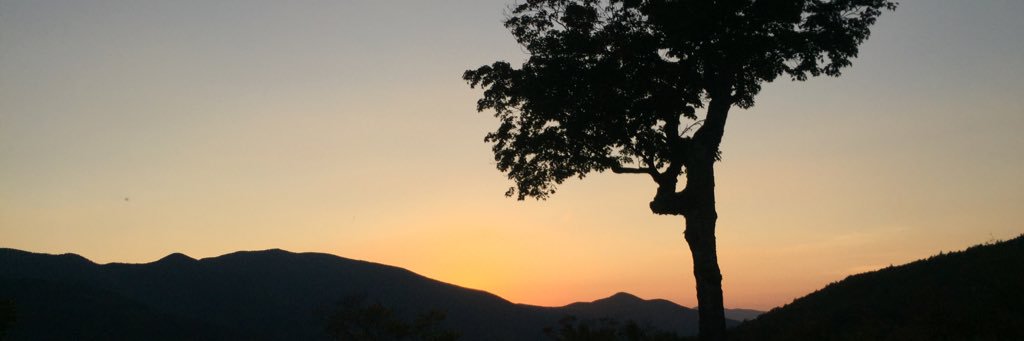 JJenn_'s profile banner image
