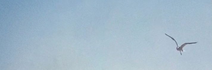 marttttm's profile banner image
