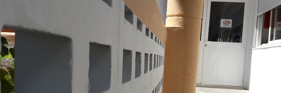 koalascsf's profile banner image