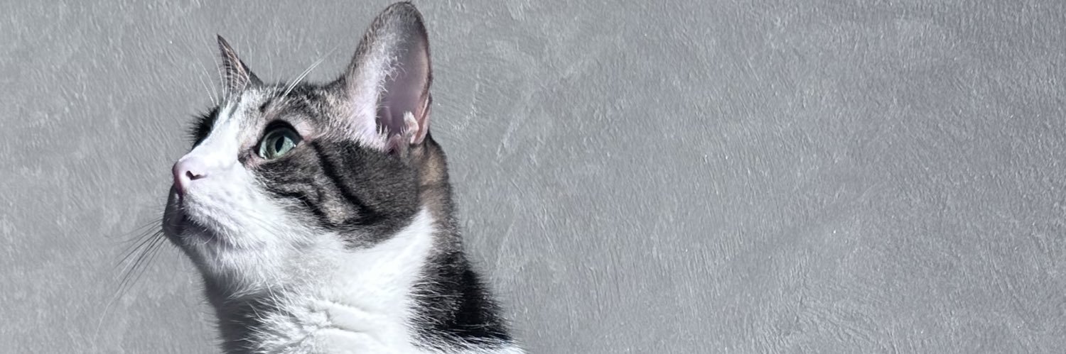 SeldaHasret's profile banner image
