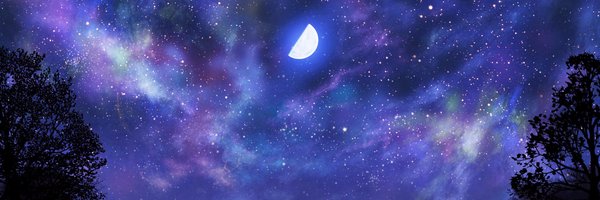 Shiny1jux Profile Banner