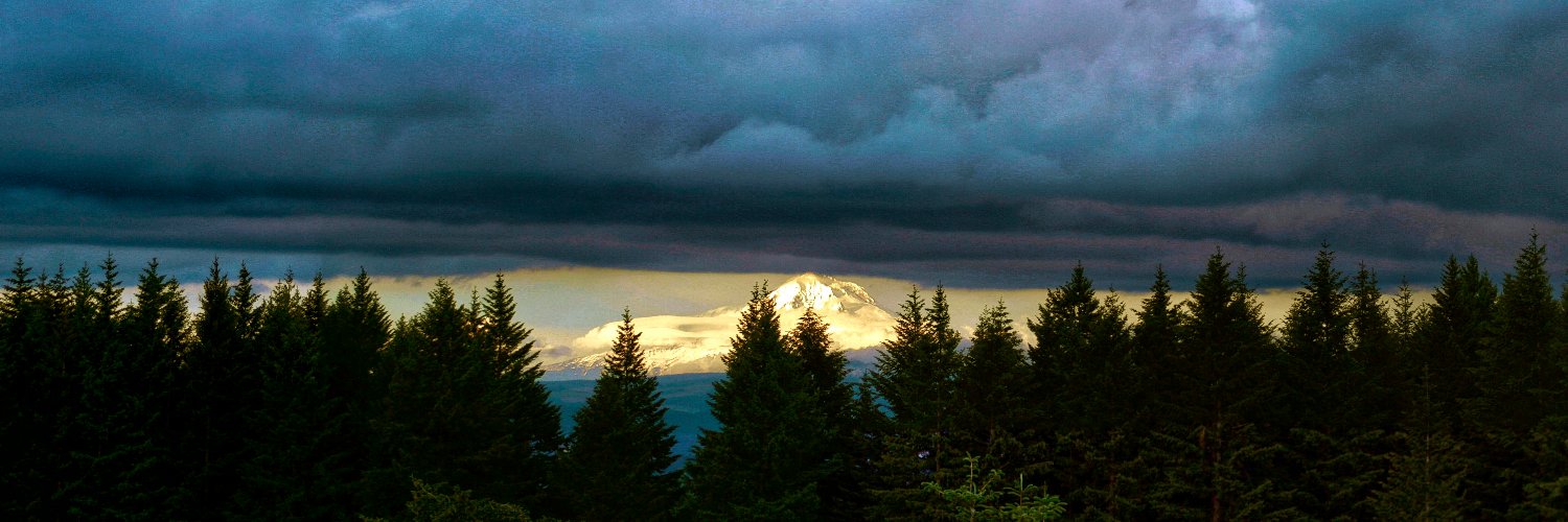 sean dreilinger banner