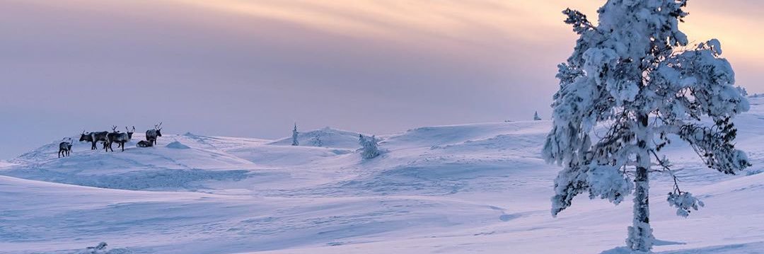23号事务所资源 banner