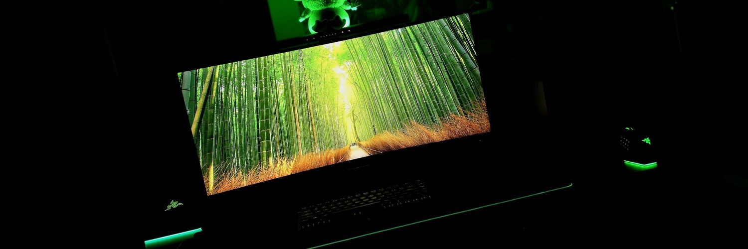RazerBladeFans's profile banner image