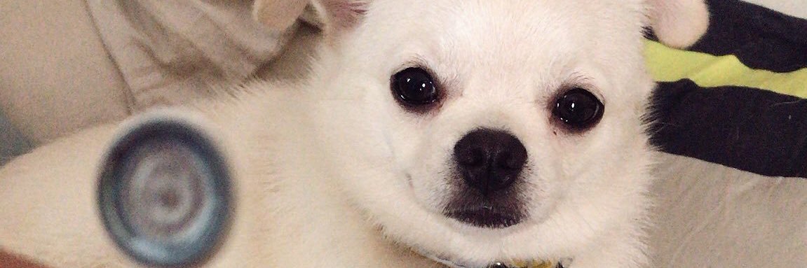 แจ๊บๆบี้ๆ . banner