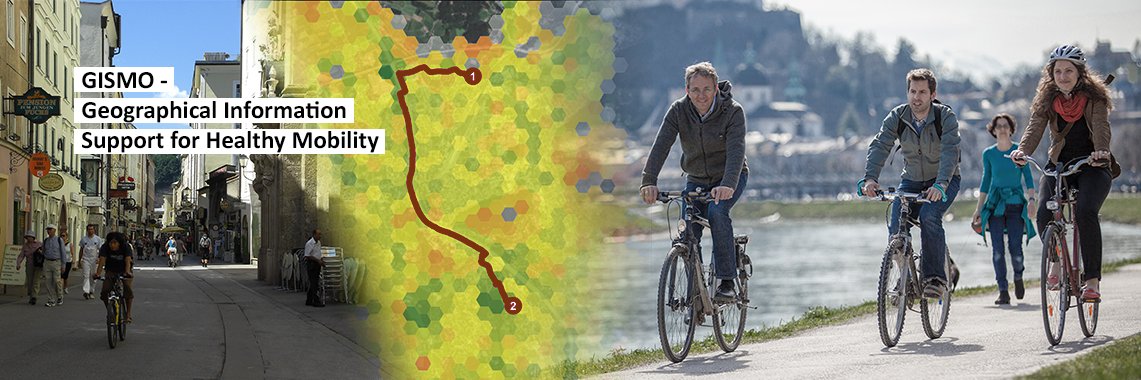 GISMO_Project banner