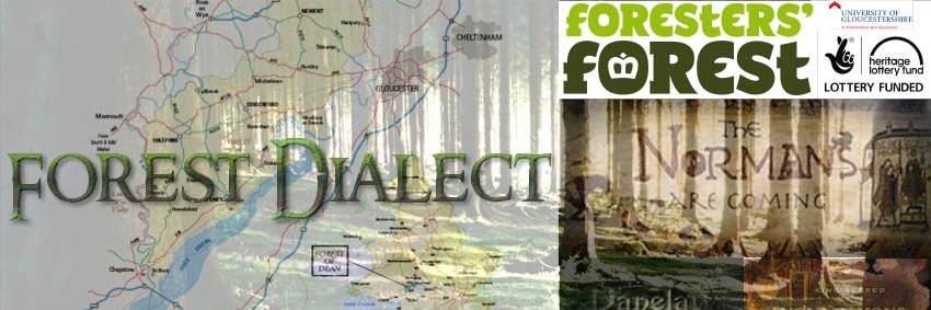 Forest Dialect banner