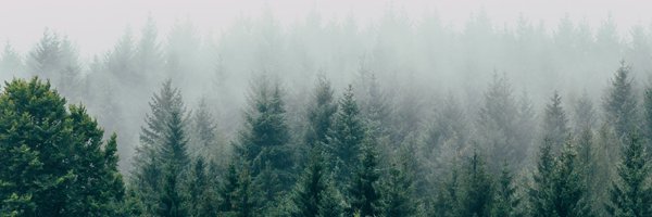 jackiebastianon Profile Banner