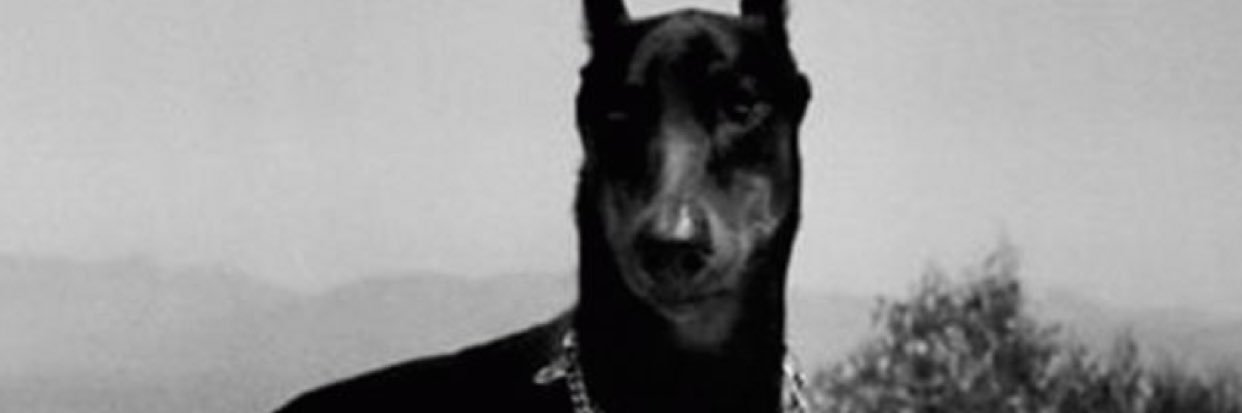 rafaeledison's profile banner image
