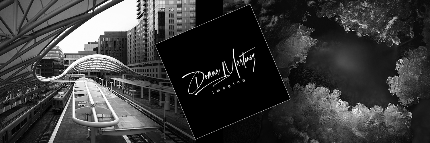 Donna Martinez 🖤🤍📷's banner