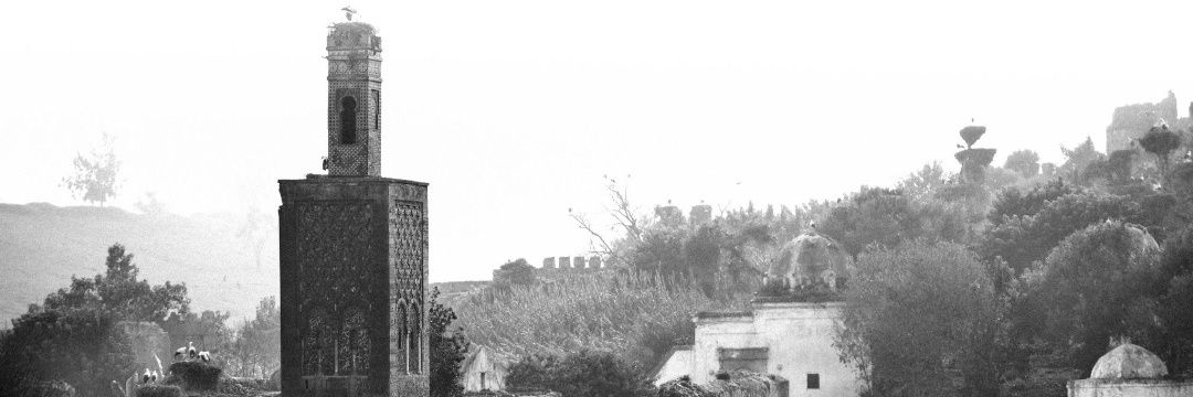أبو أصيل banner