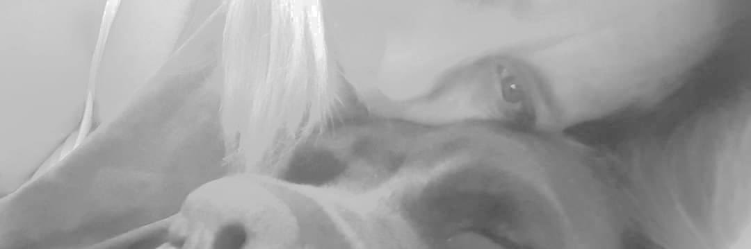 Francesca banner