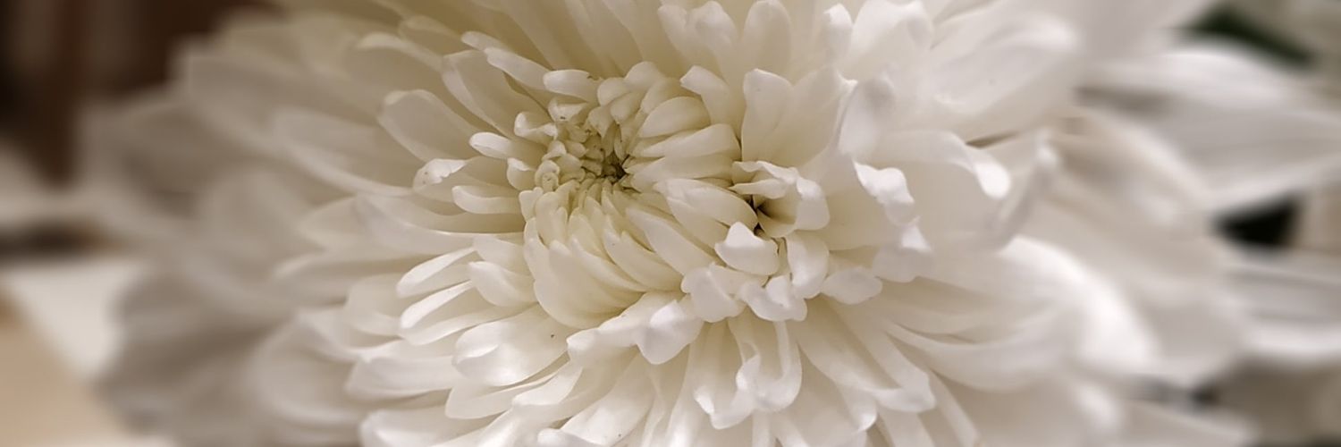 hindikelog's profile banner image