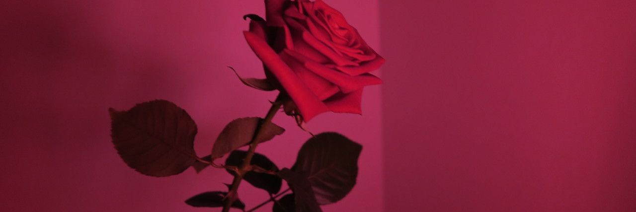 hbichoni's profile banner image