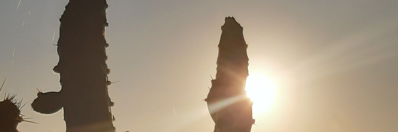 santannafa's profile banner image