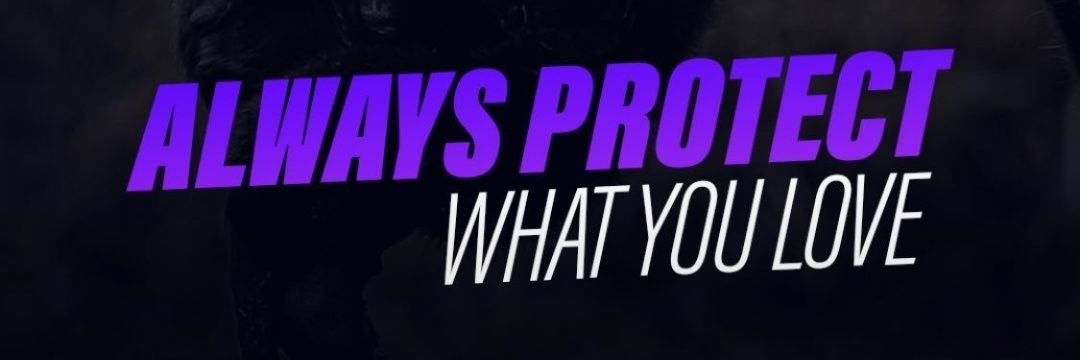 vrohzack8's profile banner image