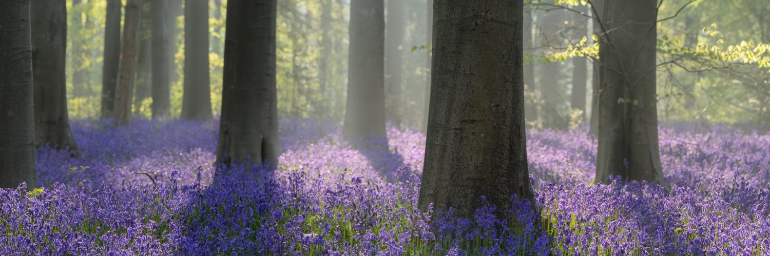 Kevin G Bownes banner
