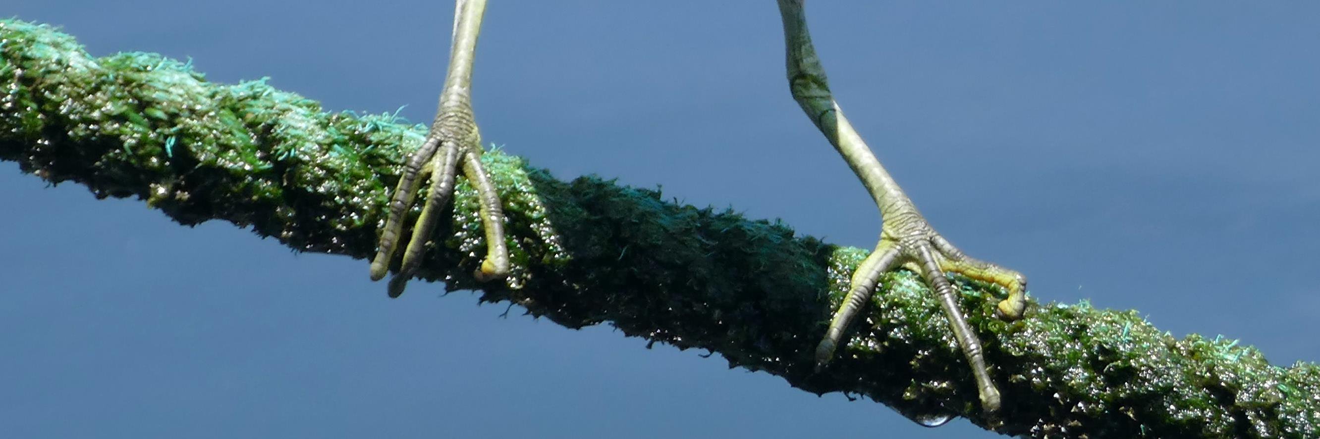 fritsstempher's profile banner image
