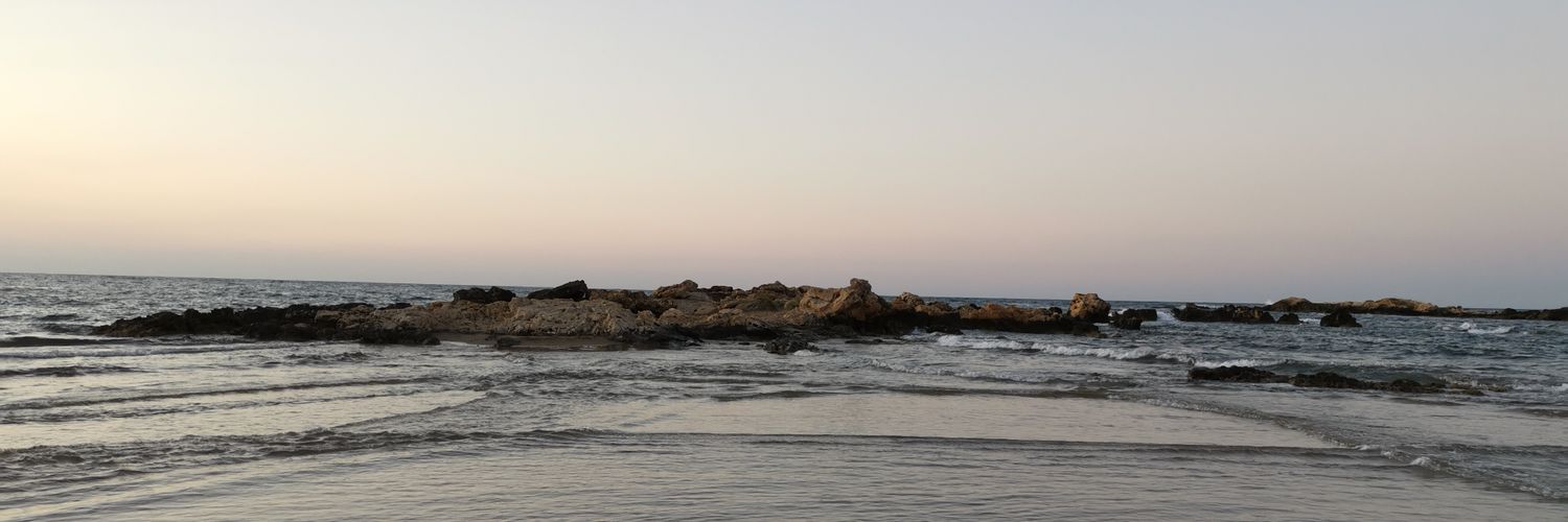 Stavros Theodorakis banner