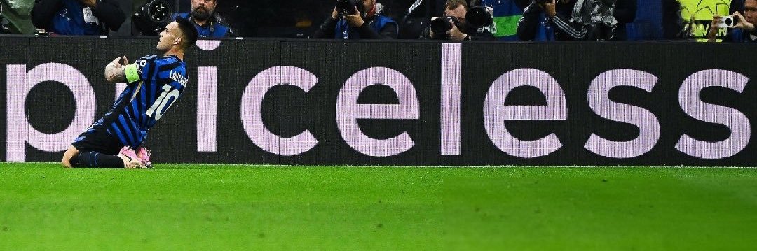 Chinocchia banner