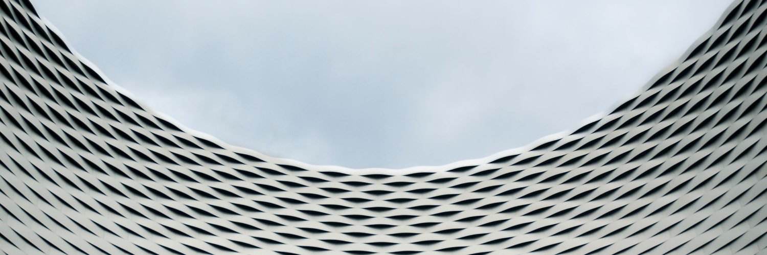 Francesco Rinaldi's banner