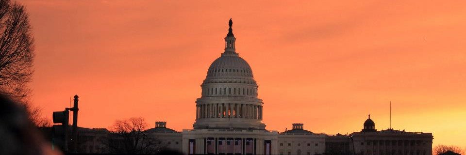 Tracee Saunders banner