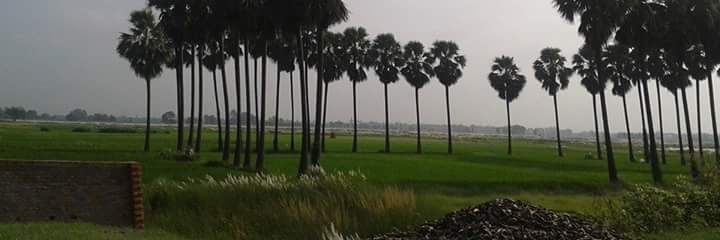 mahavali's profile banner image