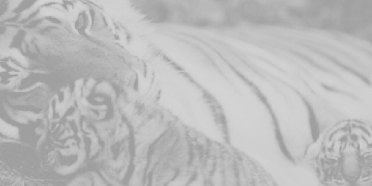 jxrdsmall's profile banner image