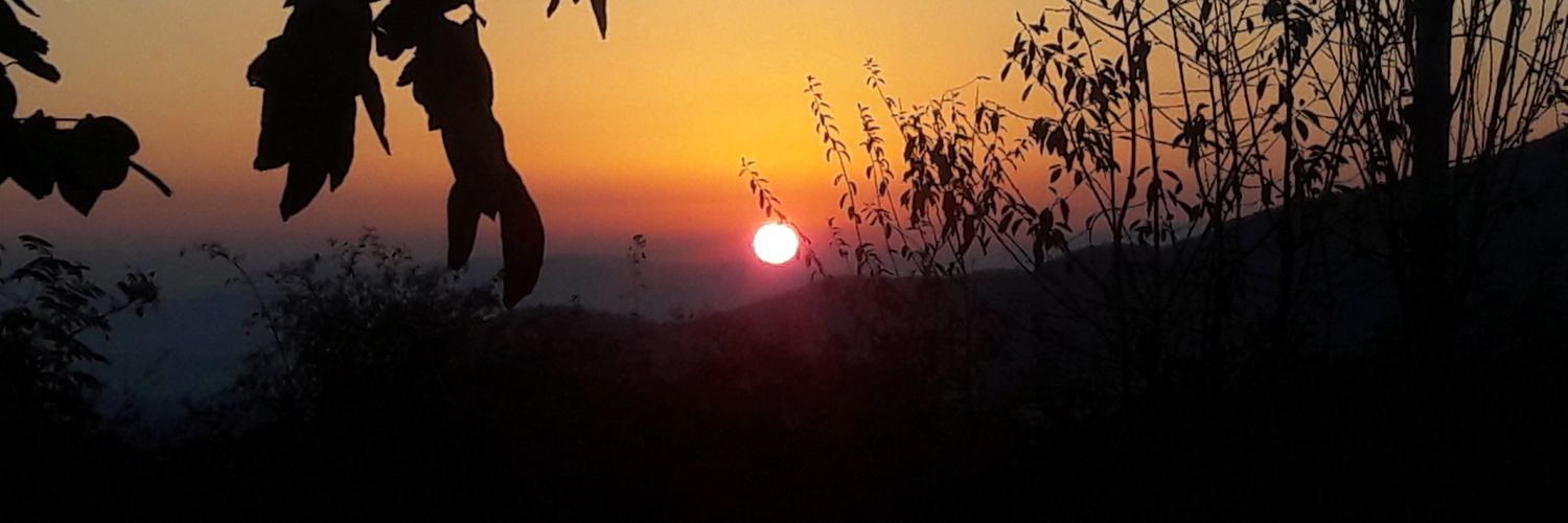 trn_musa's profile banner image