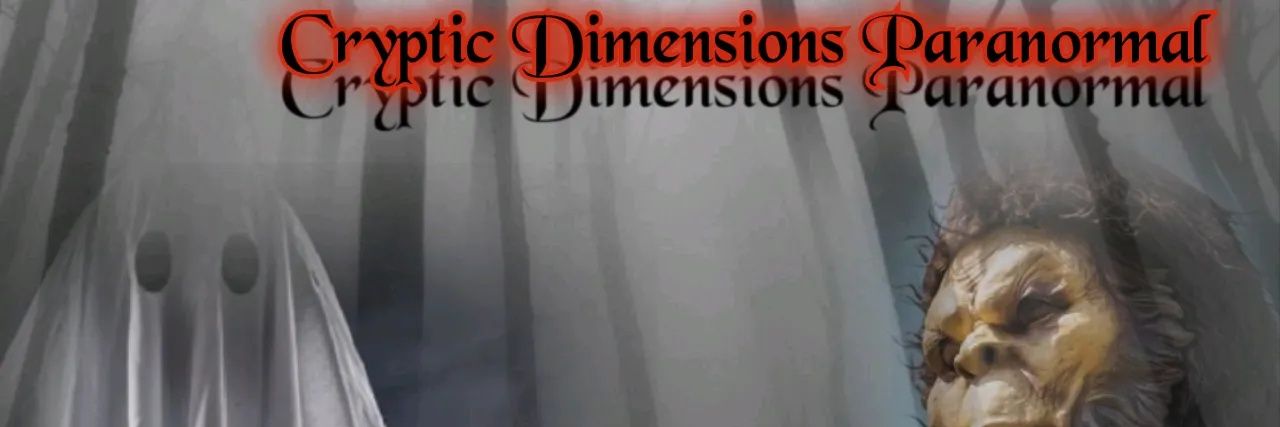 CrypticDimensi's profile banner image