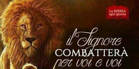 MatteoMartella's profile banner image