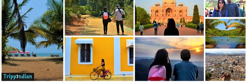 trippindian's profile banner image