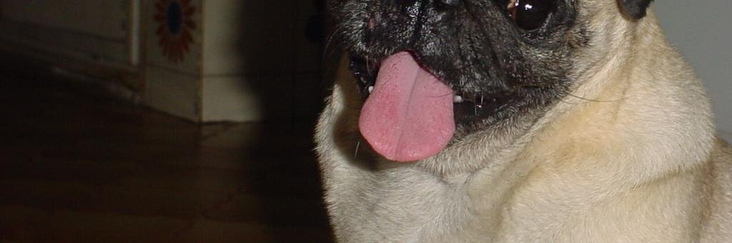 aarovzla's profile banner image