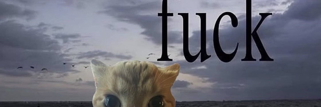 latteashed's profile banner image