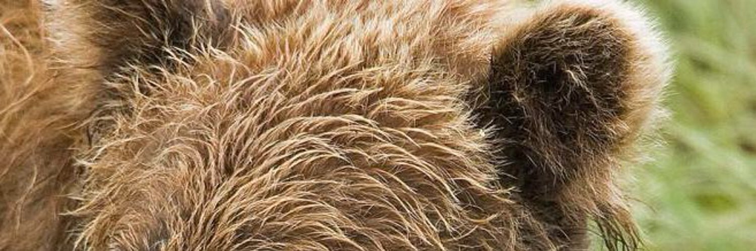 ymz0r's profile banner image