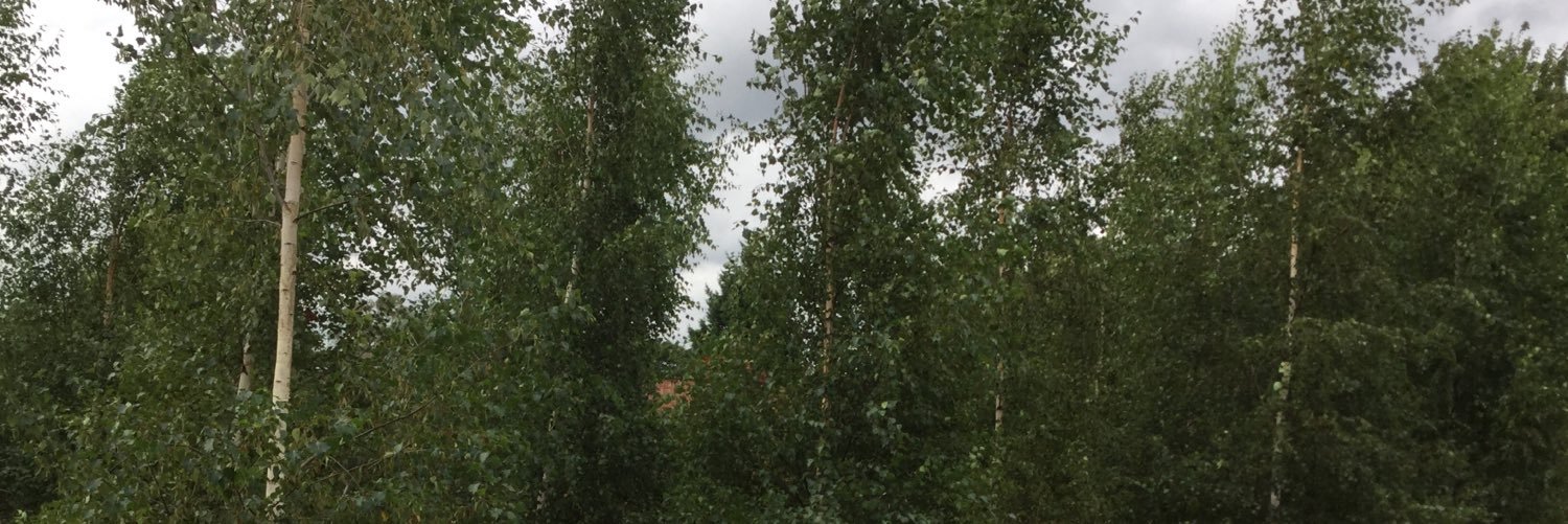 HartsForestSch's profile banner image