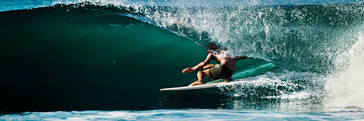 Matthew Moroz banner