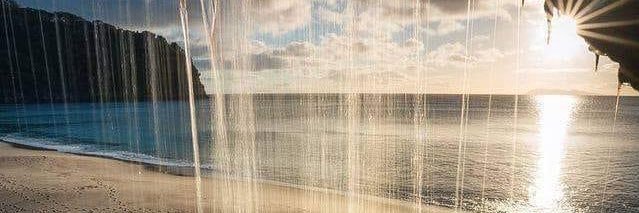 Talia Rodriguez-Customer Ezperience Manager Mgr. banner