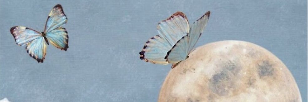 AlliRhodes's profile banner image