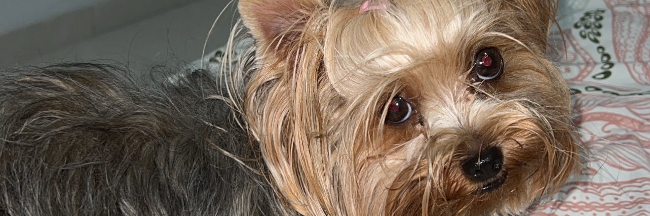 Tina✨ banner