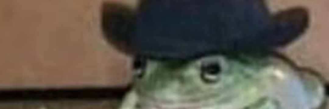 roostman13 banner